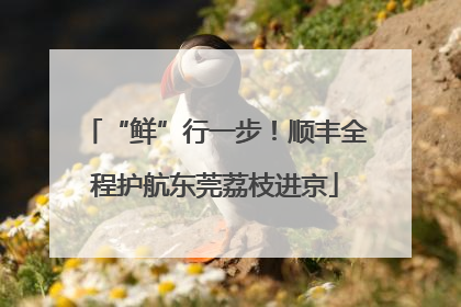 “鲜”行一步！顺丰全程护航东莞荔枝进京