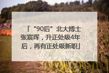 “90后”北大博士张宸珲，升正处级4年后，再有正处级新职