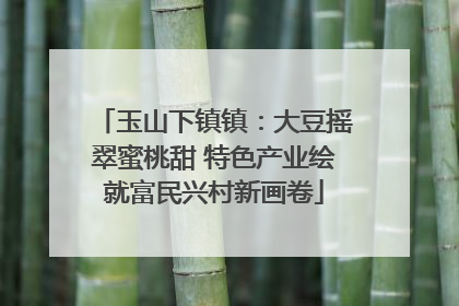 玉山下镇镇：大豆摇翠蜜桃甜 特色产业绘就富民兴村新画卷