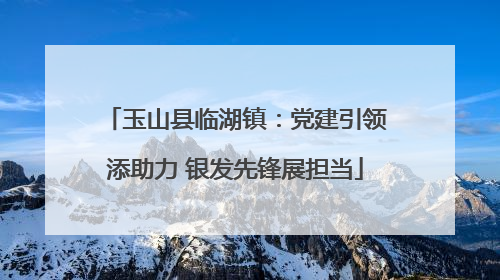 玉山县临湖镇：党建引领添助力 银发先锋展担当
