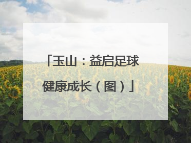 玉山：益启足球 健康成长（图）