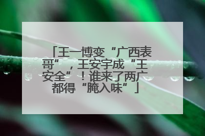 王一博变“广西表哥”，王安宇成“王安全”！谁来了两广都得“腌入味”