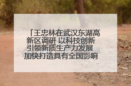 王忠林在武汉东湖高新区调研 以科技创新引领新质生产力发展 加快打造具有全国影响力的科技创新高地