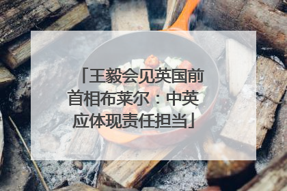 王毅会见英国前首相布莱尔：中英应体现责任担当