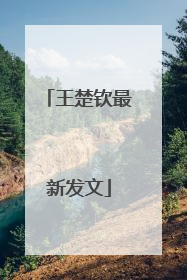 王楚钦最新发文