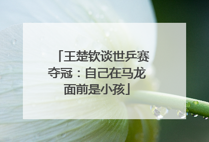 王楚钦谈世乒赛夺冠：自己在马龙面前是小孩