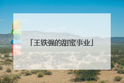 王铁强的甜蜜事业