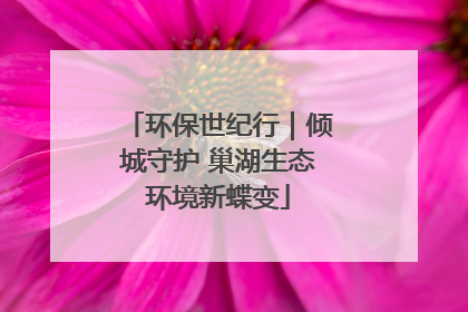 环保世纪行｜倾城守护 巢湖生态环境新蝶变