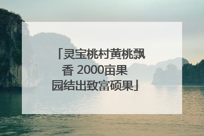 灵宝桃村黄桃飘香 2000亩果园结出致富硕果