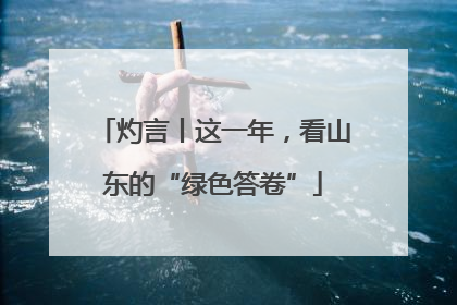 灼言丨这一年，看山东的“绿色答卷”
