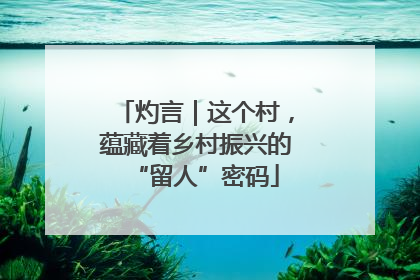 灼言｜这个村，蕴藏着乡村振兴的“留人”密码