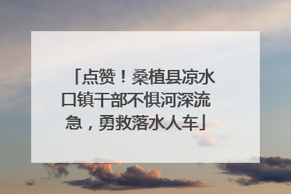 点赞！桑植县凉水口镇干部不惧河深流急，勇救落水人车