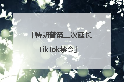 特朗普第三次延长TikTok禁令