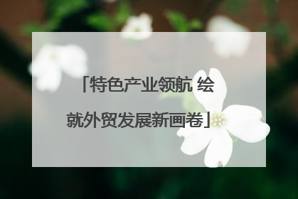 特色产业领航 绘就外贸发展新画卷