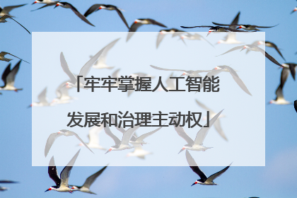牢牢掌握人工智能发展和治理主动权