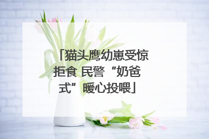 猫头鹰幼崽受惊拒食 民警“奶爸式”暖心投喂