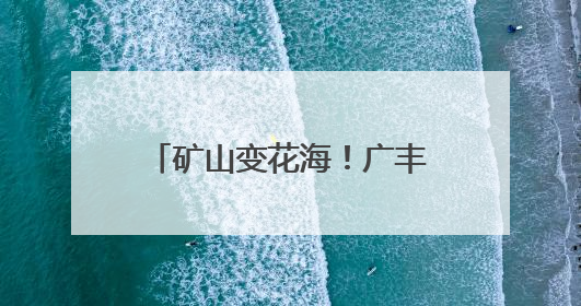 矿山变花海！广丰“三色引擎”催生乡村振兴新图景