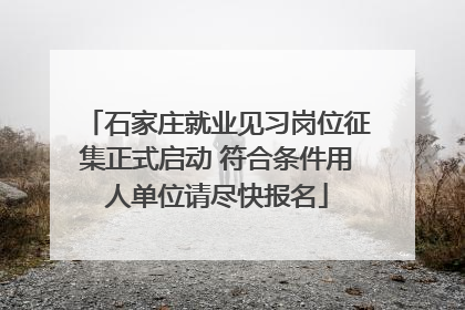 石家庄就业见习岗位征集正式启动 符合条件用人单位请尽快报名