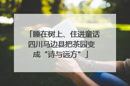 睡在树上、住进童话 四川马边县把茶园变成“诗与远方”