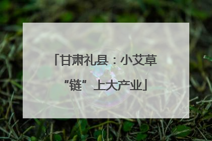 甘肃礼县：小艾草“链”上大产业
