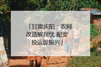 甘肃庆阳：农网改造解民忧 配变投运促振兴