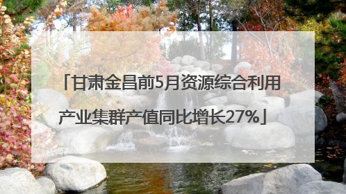 甘肃金昌前5月资源综合利用产业集群产值同比增长27%