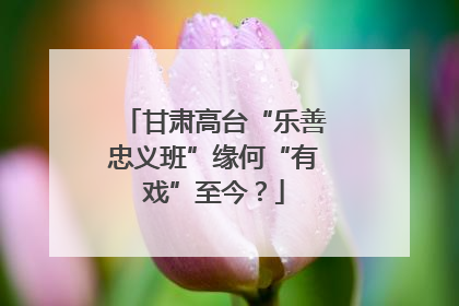 甘肃高台“乐善忠义班”缘何“有戏”至今？