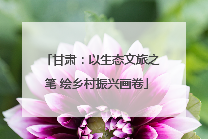 甘肃：以生态文旅之笔 绘乡村振兴画卷