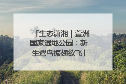 生态潇湘｜萱洲国家湿地公园：新生鹭鸟振翅欲飞