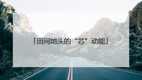 田间地头的“芯”动能