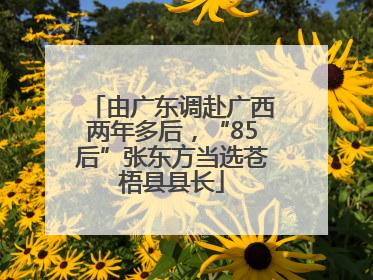 由广东调赴广西两年多后，“85后”张东方当选苍梧县县长