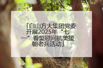 白山方大集团党委开展2025年“七一”看望慰问抗美援朝老兵活动