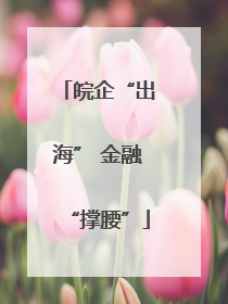 皖企“出海” 金融“撑腰”