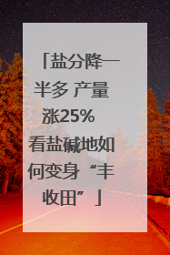 盐分降一半多 产量涨25% 看盐碱地如何变身“丰收田”