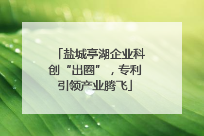 盐城亭湖企业科创“出圈”，专利引领产业腾飞