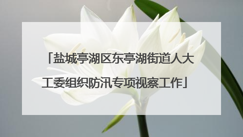 盐城亭湖区东亭湖街道人大工委组织防汛专项视察工作