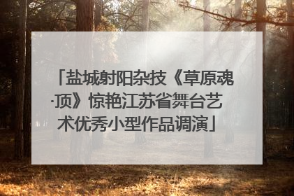 盐城射阳杂技《草原魂·顶》惊艳江苏省舞台艺术优秀小型作品调演