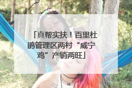 真帮实扶！百里杜鹃管理区两村“威宁鸡”产销两旺