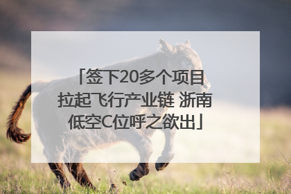 签下20多个项目 拉起飞行产业链 浙南低空C位呼之欲出