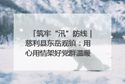 筑牢“汛”防线｜慈利县东岳观镇：用心用情架好党群温暖悠长的“连心桥”