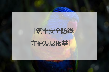 筑牢安全防线 守护发展根基