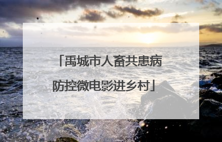 禹城市人畜共患病防控微电影进乡村