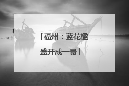福州：蓝花楹盛开成一景