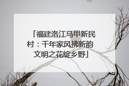 福建洛江马甲新民村：千年家风拂新韵 文明之花绽乡野