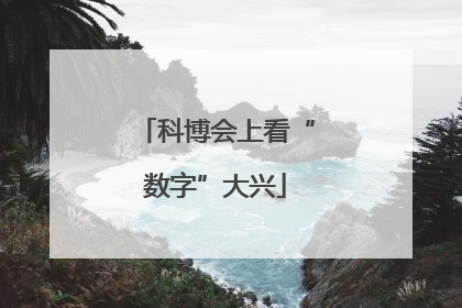 科博会上看“数字”大兴
