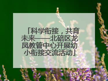 科学衔接，共育未来——北碚区龙凤教管中心开展幼小衔接交流活动