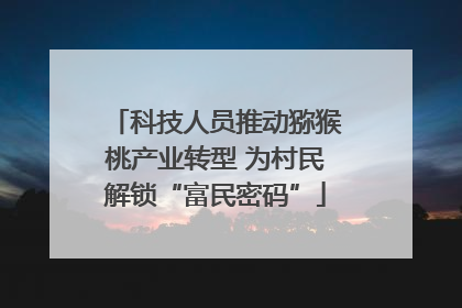 科技人员推动猕猴桃产业转型 为村民解锁“富民密码”