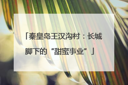 秦皇岛王汉沟村：长城脚下的“甜蜜事业”