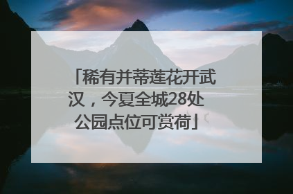 稀有并蒂莲花开武汉，今夏全城28处公园点位可赏荷