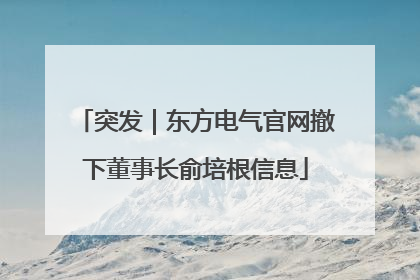 突发｜东方电气官网撤下董事长俞培根信息